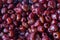 Top view texture of the cherry. Red berry dried fruit. Diet food, vegetarian red berry natural nutrition