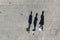 Top view of three tourists with shadows on the street