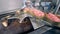 Top view of tin cans filled with meat moving along the conveyor