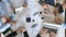 Top view to hands of businessmen working efficiently with documents. Group of workers sitting at table in office