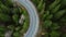 Top view to road with cars and coniferous spruce trees on roadside. Drone aerial shot of flying over evergreen fir or