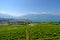 Top view to vineyards near Vevey at Geneva lake