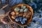 Top view of a tray with various mineral stones prepared for spiritual cleansing or blessing ritual