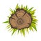 Top view tree stump icon, cartoon style