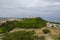 Top view tree and town in okinawa islands