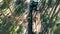 Top view of tree trunks getting loaded into the harvesting truck