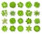 Top view trees and bushes. Aerial landscape elements. Forest and tropical tree, green park bush map icons look from