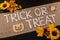Top view of the Trick or treat word and artificial flowers on a linen fabric