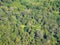 Top view of the tropical green forest