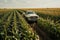 A top view of a truck on a lush crop field, symbolizing the role of transportation in the agricultural industry