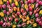 Top view tulips flowers. Colorful tulips flowers close up