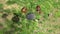 Top view of two bird feeders on the metal pole equipped with a squirrel baffle