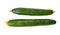 Top view of two long cucumbers isolated on white background