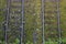 Top view of two parallel railway tracks with old wooden railroad sleepers and moss, aerial view