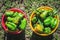Top view of two round buckets of fresh green bell peppers. On the ground in the middle of the garden, there is a 2 bucket of juicy