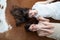 Top view of two women put hand to cover their eye and laying on natural cow skin carpet / fashion concept / beauty blogger /