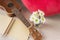 Top view ukulele and blank note book with pencil and flower for
