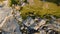 Top view of an unusual stone landscape