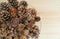 Top view of various type and size of natural dry pine cones in a glass bowl, with free space for design