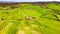 Top view of verdant Tuscan fields, hills, trees with a thin strip of blue sky with clouds on the horizon