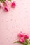 Top view vertical photo of bunches of pink tulips and scattered sprinkles on isolated pastel pink background