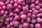 Top view of a vibrant assortment of beets