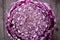 Top view of violet chinese cabbage cut on half on grey background. Close up.