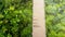 Top view walk at wooden sky walkway in forest