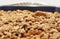A top view of a warm hot dish of apple crisp