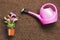 top view watering can ground. High quality photo