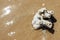 Top view of White Coral on the beach that some part inside sand on the right side with sea water moving at Koh Mak in Trat.