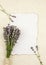 Top view of white empty sheet of paper with burned edges and surrounded by fresh lavender.