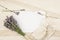 Top view of white empty sheet of paper with burned edges and surrounded by fresh lavender branches and scented dry lavender.