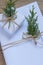 Top view of white handcraft gift boxes and fresh fir branches on wooden background