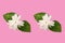 Top view,White jasminum sambac flower blossom bloom with green leaf isolated on pastel magenta background, Fragrant floral,arabian