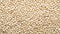 Top view of White sesame seeds. Background texture of raw White sesame seeds. Superfood. Copy space. Banner. Perfect for