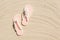 Top view of white woman flip flops with flowers on sandy beach. Summer vacation concept on a sunny day