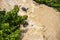 Top view Wild water flows violently through the rocks and shrubs