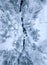 Top view of winter mountain river surrounded by trees and banks of snow-covered