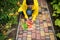 Top view. Woman farmer, agronomist gardener stacking a freshly harvested crop of ripe and juicy tomatoes in a wooden box