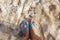 Top view woman feet on golden sandy beach. Selfie of legs in sandals shoes on seashore background. Pretty female feet