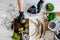 Top view woman gardener hands in protective gloves arrangement succulents into glass florariums