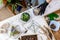 Top view woman gardener hands in protective gloves arrangement succulents into glass florariums