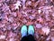 Top view woman runner foot on fall leaves in the forest autumn season