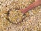 Top view of wood spoon on pile of cumin seeds