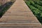 Top view wooden floor walkway beautiful flower garden outdoor path image concept for nature travel background.