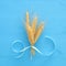 top view of wooden wheat crop decoration over pastel wooden background. Symbols of jewish holiday - Shavuot.