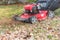 Top view working lawn mower with black catch bag mulching autumn leaves lawn care in Texas