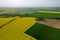 Top view of yellow rapeseed and wheat green fields, trees and highway.