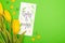 Top view of yellow tulips, card with spring is coming lettering and decorative hearts on green background.